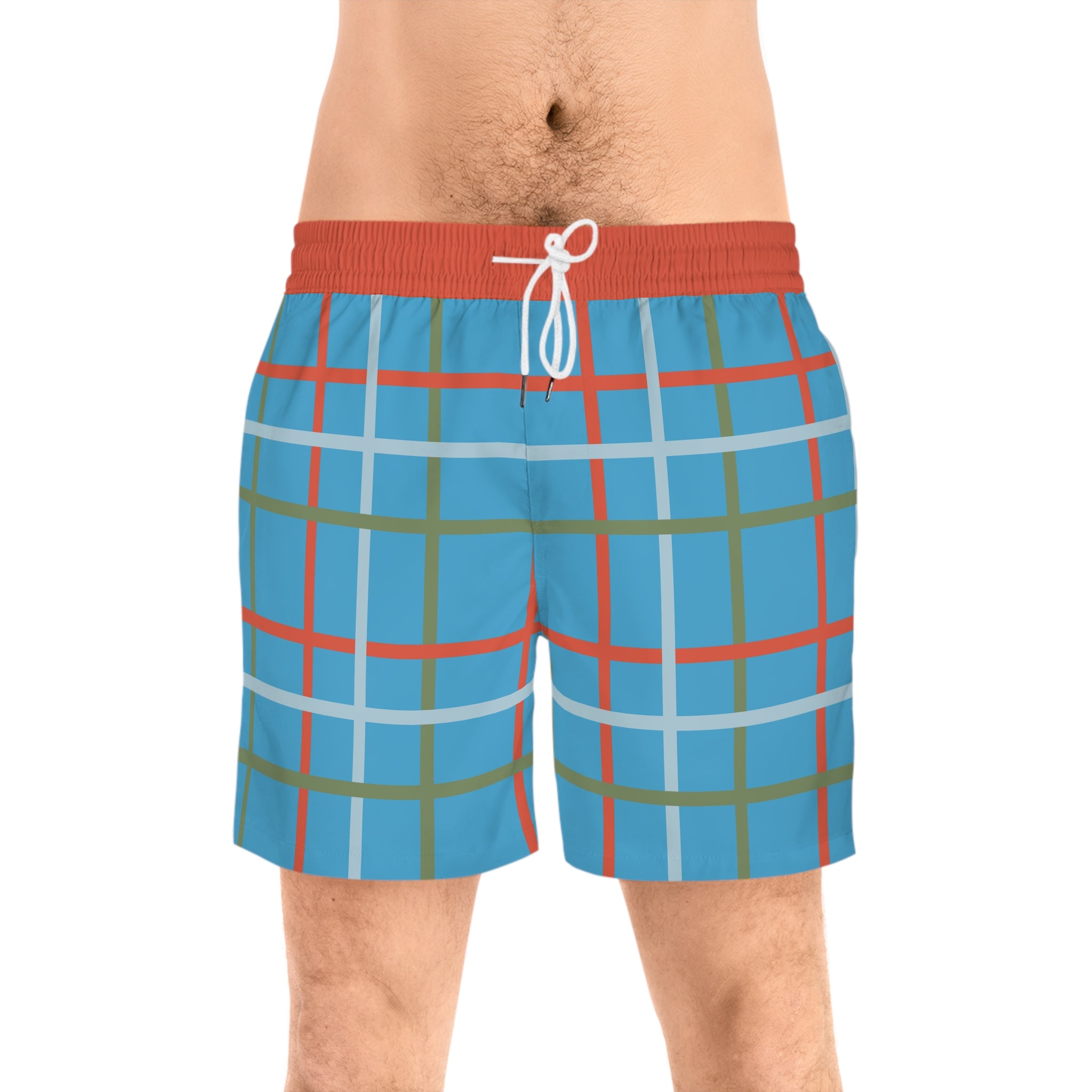 Mens Blue Plaid Swim Shorts